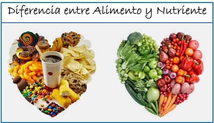 Diferencia entre Alimento y Nutriente 