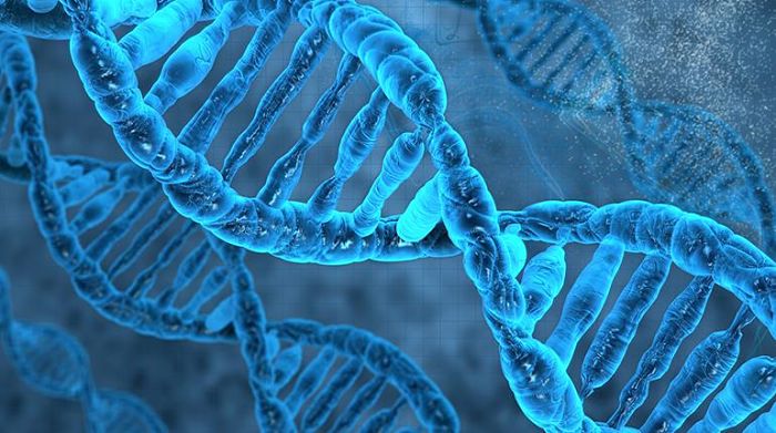 Diferencia entre ARN y ADN